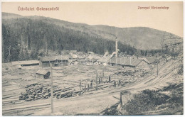 ** T1 Gelence, Ghelinta; Zernyei Fűrésztelep, Iparvasút, Gyár. Bogdán A. Fényképész / Zarna Sawmill, Industrial Railway, - Ohne Zuordnung