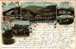 T2/T3 1900 Kapfenberg (Steiermark), Curhaus Steinerhof, Steinerhof U. Fürstenhof, Curhaus Fürstenhof, Maria Rehkogl. Art - Non Classificati