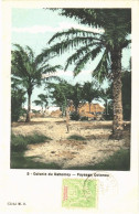 * T1 Cotonou, Paysage / Palm Trees - Unclassified