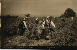 T2/T3 1931 Kazanlak, Kazanlik, La Recolte / Rózsa Szüret / Rose Harvest. Gr. Paskoff (fl) - Non Classés