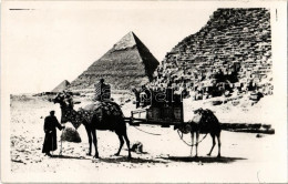 ** T1/T2 Giza, Pyramids Of Giza, Camels, Photo (non PC) - Non Classés