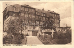 T3 1929 Bierutowice, Brückenberg, Karpacz Górny (Karpacz, Krummhübel); Hotel Sanssouci, Restaurant, Automobile Garage (f - Unclassified