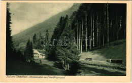 * T3 Tabarz (Thür. Wald), Massemühle Im Lauchagrund / Mill, Road, Forest (Rb) - Ohne Zuordnung