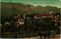 * T3 1908 Sinaia, Vedere Din Parc A Muntilor Bucegi / General View With Bucegi Mountains, Park, Villa, Horse-drawn Carri - Unclassified