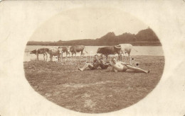 ** T2/T3 Napfürdőző Urak, Napfürdőző Szarvasmarhák / Sunbathing Cows, Sunbathing Men, Photo (EK) - Non Classificati