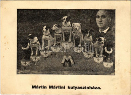 ** T2/T3 Márin Mártini Kutyaszínháza / Dog Theatre, Circus (fl) - Unclassified