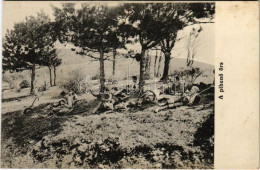 ** T2/T3 A Pihenő őrs. Magyar Rotophot 671. / Hungarian Boy Scouts Resting (fl) - Ohne Zuordnung