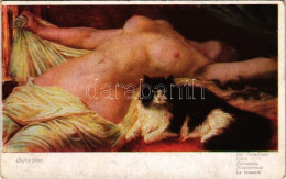 * T2/T3 Die Falschheit / Ravaszság / La Fausseté / Erotic Nude Lady Art Postcard. L. & P. 2649. S: Sojka (fl) - Sin Clasificación