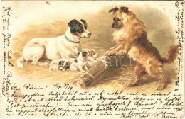 T3 1898 Dogs. Litho (EB) - Sin Clasificación