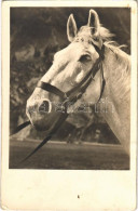 T2/T3 1943 Horse. Amag 67792/2. (EK) - Unclassified