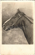 T2/T3 1943 Horse. Amag 66959/4. (EK) - Zonder Classificatie