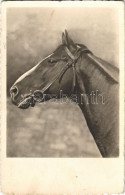 T2/T3 1943 Horse. Amag 66959/4. (EK) - Non Classés