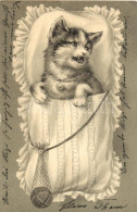 T4 Cat In Swaddling, E.A.W. Serie 826., Litho, Emb. (b) - Sin Clasificación