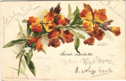 T4 1899 Flowers. Verlag V. Wezel & Naumann Serie 30. No. 11. Litho (EM) - Unclassified