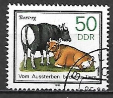 RDA   /   DDR.    -    VACHES    -   Oblitéré - Mucche