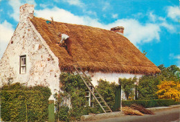 Postcard Ireland Thatched Cottage - Autres & Non Classés