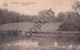 Postkaart/Carte Postale - Natoye - Parc (C5263) - Hamois