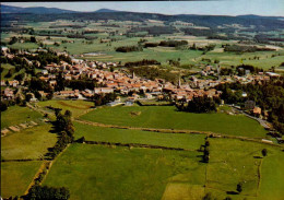 MONTFAUCON   ( HAUTE LOIRE )  VUE GENERALE AERIENNE - Montfaucon En Velay