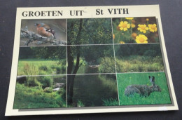 Groeten Uit St. Vith - Uitgave Lander, Eupen - Sankt Vith