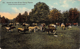 U S A       Scène On One Our Dairy Farms  - Cows -      (voir Scan) - Autres & Non Classés