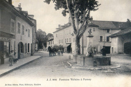 01 - Fontaine Voltaire à Ferney - Ferney-Voltaire