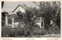 Canas De Senhorim, Hotel Urgeiriça, Chalet Vinha, ( Nelas ) PORTUGAL - Viseu