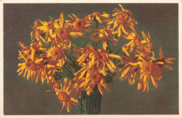 FLEURS PLANTES ARBRES - Fleurs - Arnica Montana - Tournesols - Carte Postale Ancienne - Flores