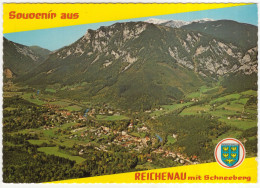 Reichenau, 487 M Mit Schneeberg 2075 M - (N.Ö., Österreich/Austria) - Alpine Luftbild - Schneeberggebiet