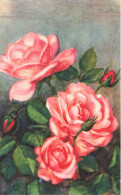 FLEURS PLANTES ARBRES - Fleurs - Roses - Carte Postale Ancienne - Flores