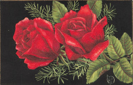 FLEURS, PLANTES ARBRES - Fleurs - Roses Rouges - Carte Postale Ancienne - Fleurs