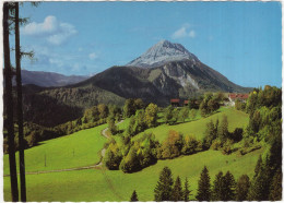 Naturpark Ötscher-Tormäuer - Ötscher 1895 M, Blick Von Gösing -  (N.Ö., Österreich/Austria) - Scheibbs