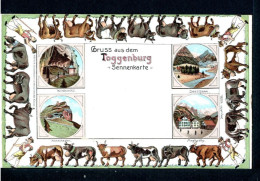 GRUSS Aus Dem TOGGENBURG - Sennenkarte ( Wildkirchli / Hohenkasten / Seealpsee / Meglis-Ap ) - Autres & Non Classés