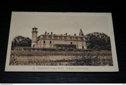 Delcampe - A10185           ROUFFACH, CHATEAU D'ISEMBOURG - Rouffach