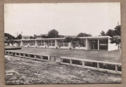 CPSM 30 - QUISSAC - Groupe Scolaire - TB PLAN ECOLE Classes Cour Récréation + Jolie Oblitération Verso - Quissac