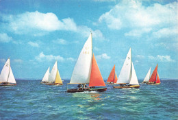 TRANSPORT - Bateaux - International 505 Class Dinghies - This Very Good Racing Dinghy ... - Carte Postale - Steamers