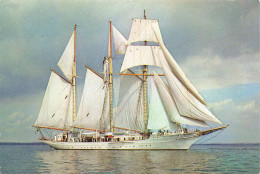 TRANSPORT - Bateaux - Flying Clipper - This Swedisch Schooner Was Formerly Named Sunbeam II - Carte Postale - Voiliers