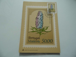 Cartolina Annullo "FLORES REGIONAL DE MADEIRA" - Postmark Collection