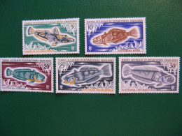 TAAF YVERT POSTE ORDINAIRE N° 34/38 - TIMBRES NEUFS** LUXE - MNH - SERIE COMPLETE - COTE 28,00 EUROS - Neufs