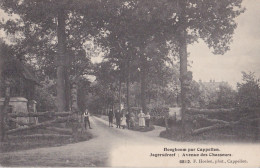 HOOGBOOM 1914 JAGERSDREEF / AVENUE DES CHASSEURS - HOELEN KAPELLEN 6812 - Kapellen