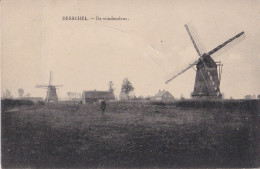 Delcampe - DESSEL 1933 DE WINDMOLENS - 2x Molen - ARENDONK - Arendonk