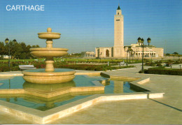 Tunisia- El Abidine Mosque In Carthage - Islam