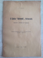 Alessandro Viglio Il Codice Raimondi Rintracciato Decreti E Statuti Di Vogogna Tipografia Gaddi Novara 1917 - Geschichte, Biographie, Philosophie