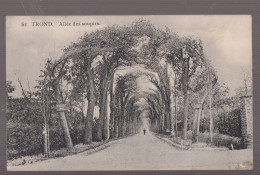 Cpa Saint Trond   Allée  1918 - Sint-Truiden