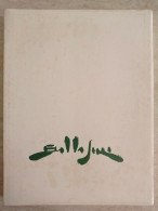 Volume Con Autografo Pittore Bruno Ballasini Da Viadana Brochure Mostre Novara E Milano - Kunst, Antiquitäten