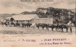 MOZAMBIQUE - MOÇAMBIQUE - Carro Boer, Junto A Macequece (Ed. F. A. Martins . Nº 124) - PORTUGAL - Mozambique