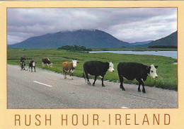 AK 178416 IRELAND - Rush Hour - Autres & Non Classés