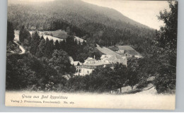 7624 BAD RIPPOLDSAU, Gruss Aus... Blick Auf Den Ort, Ca. 1905 - Bad Rippoldsau - Schapbach