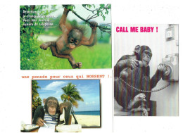 Lot 3 Cpm - Humour - Singe Chimpanzé - Téléphone éphéméride Calculatrice - Singes