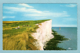 CP Angleterre - Eastbourne - Beachy Head And Ligthouse - Eastbourne