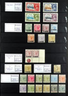 COMMONWEALTH BETTER ITEMS. Two Stock Books Containing Sets, Higher / Top Values, Stamps With Varieties, Better Groups Et - Andere & Zonder Classificatie